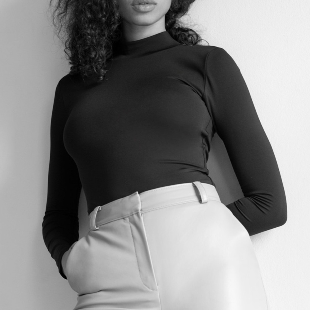 Aritzia Babaton Mock Neck Long Sleeve